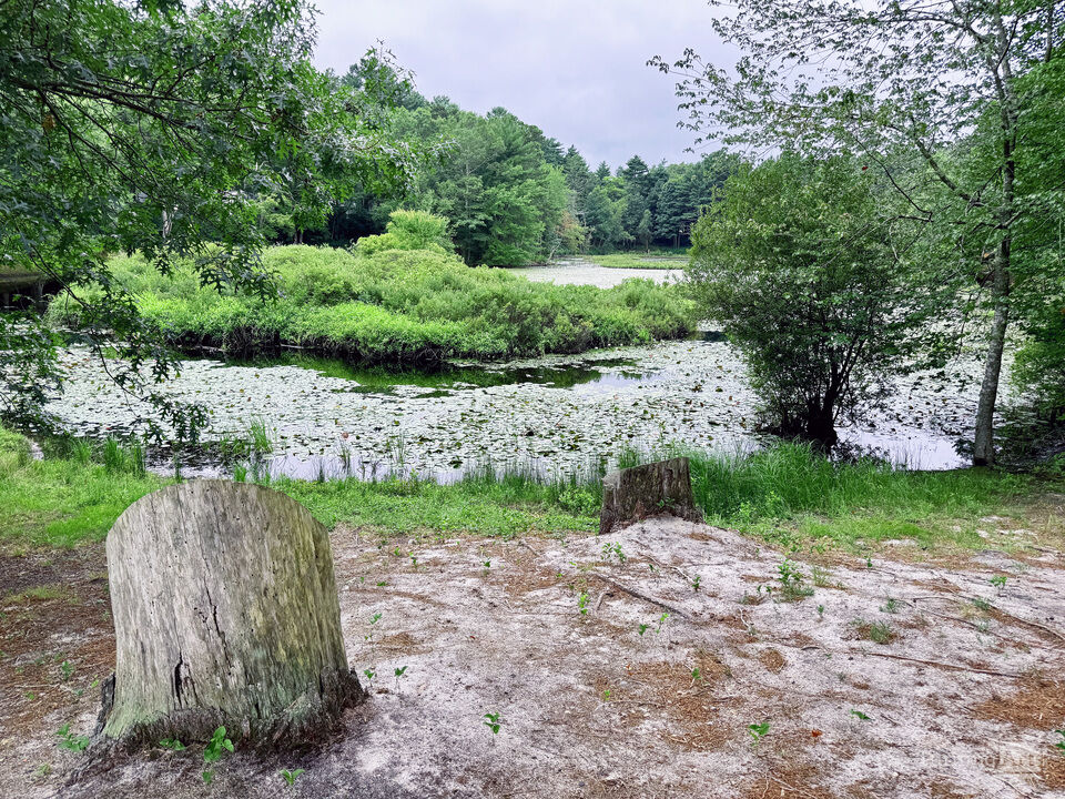Pond, Plymouth, Massachusetts