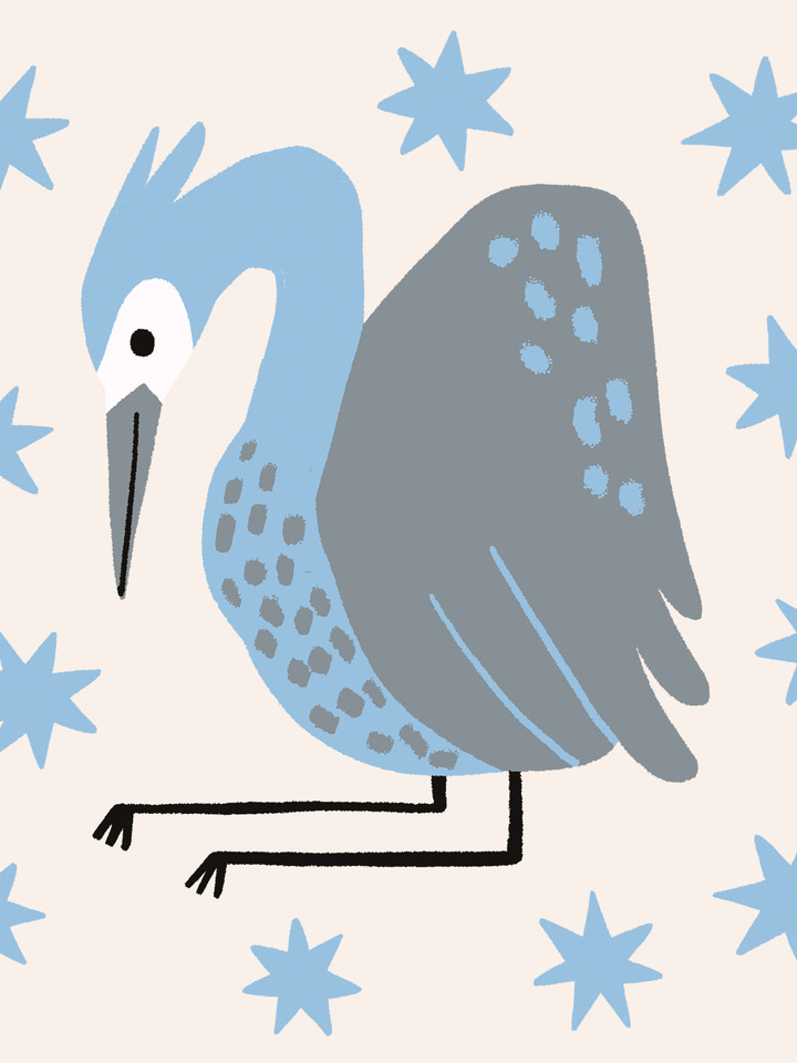 Second Starry Heron
