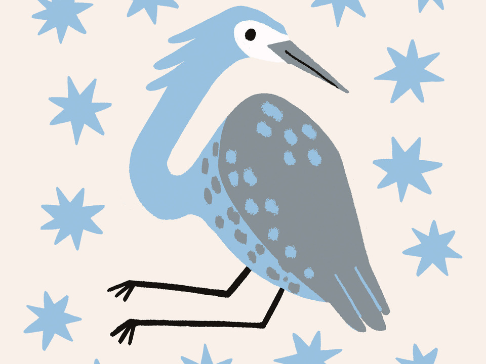 Third Starry Heron