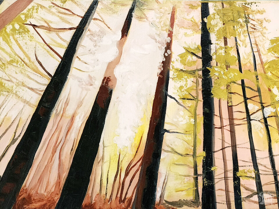 Discovering the Woods 1