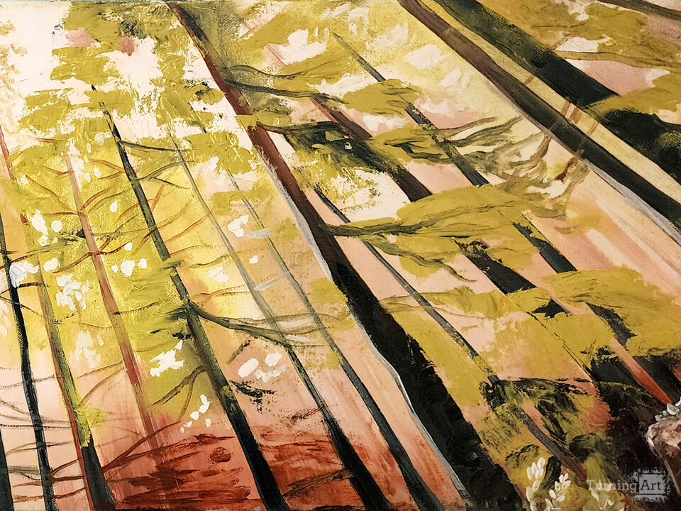 Discovering the Woods 2