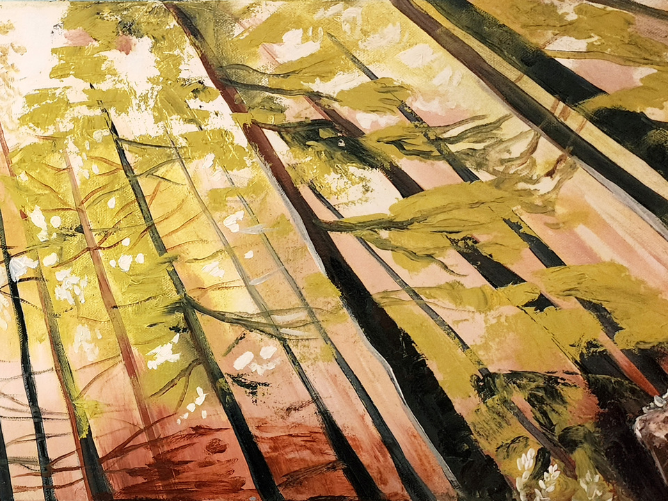 Discovering the Woods 2