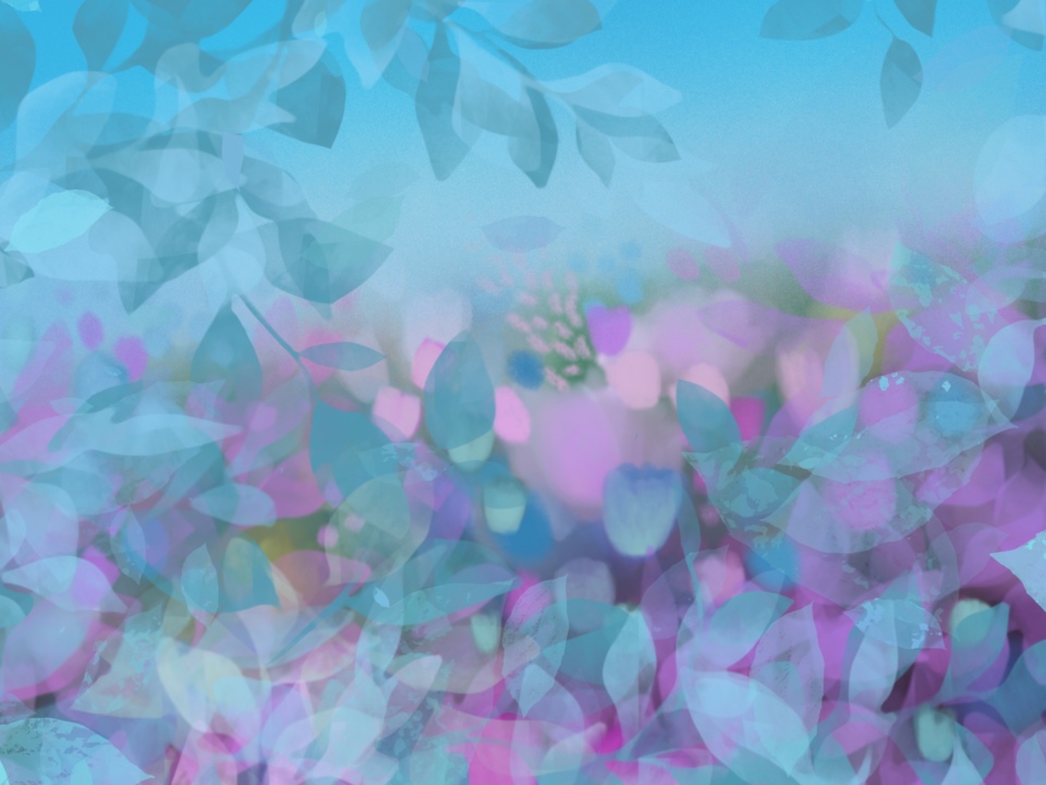 Where Wildflowers Dream