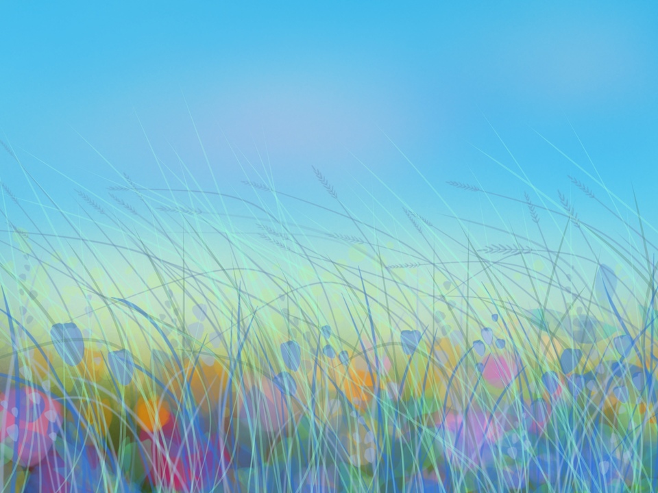 Field of Eternal Spring