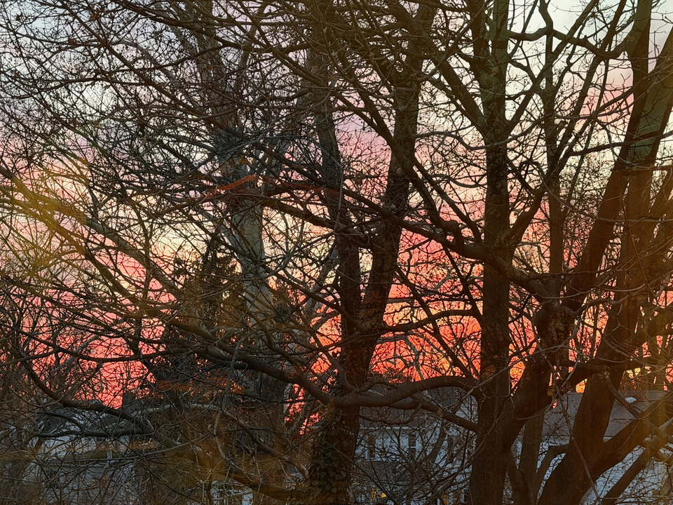 Studio View No.6