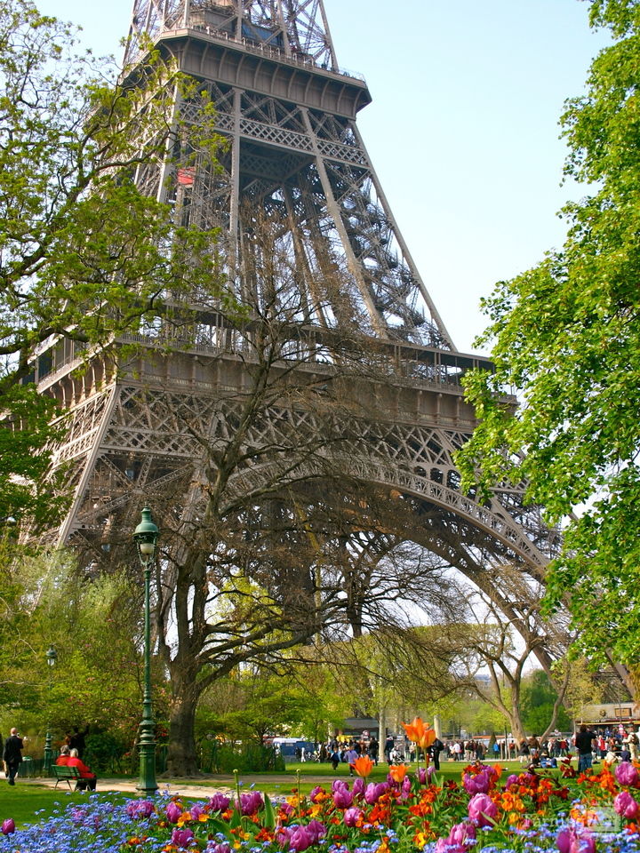 Eiffel tower in spring