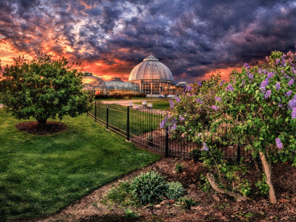   Detroit Belle Isle Conservatory Morning Colors