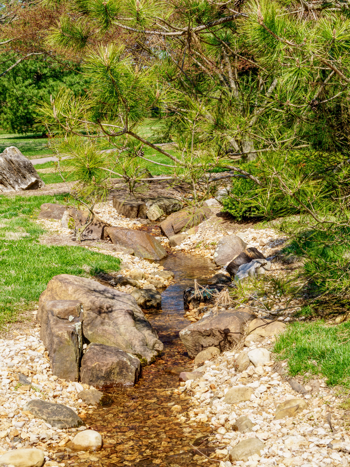 Calming Stream Waters Flowing
