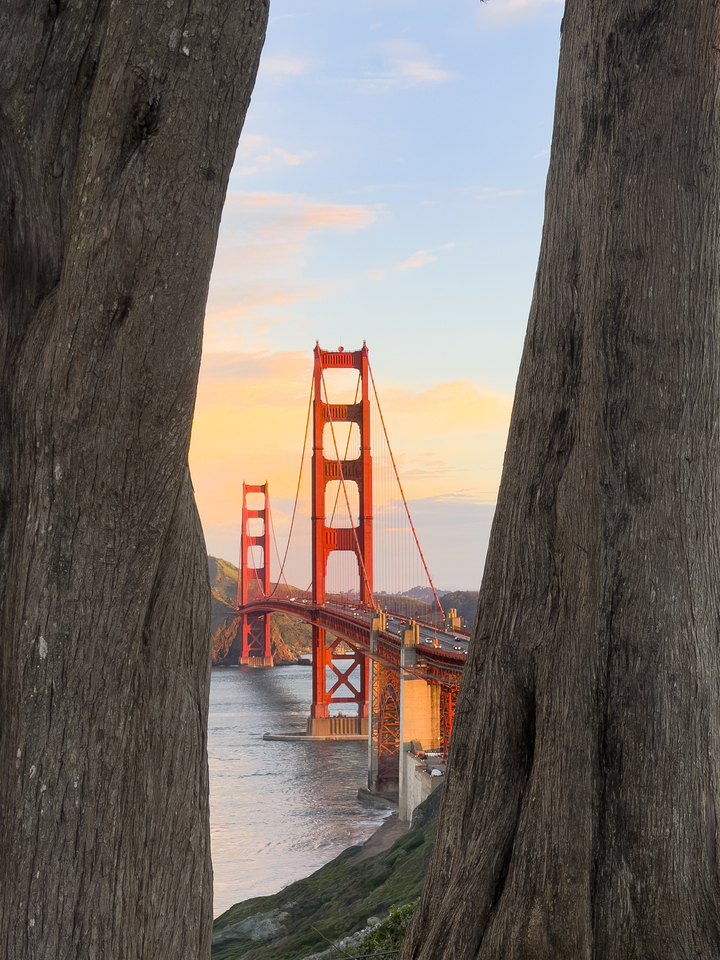 Framing the Golden Gate Bridge