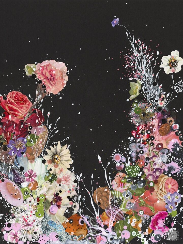 Strawberries & Stars