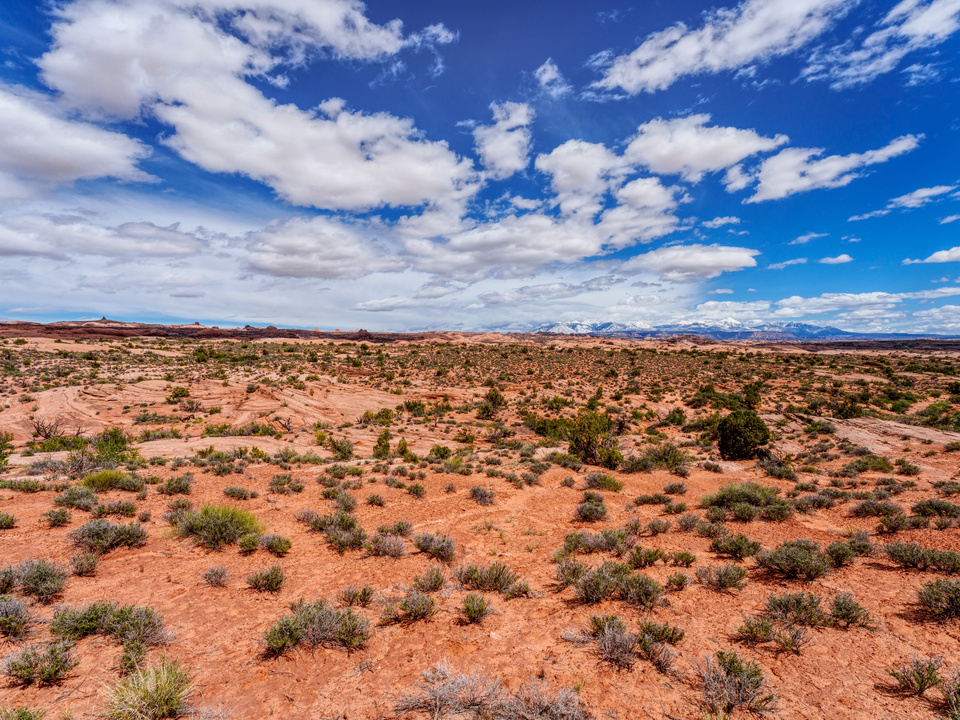 La Sal Majesty Over Arches National Park