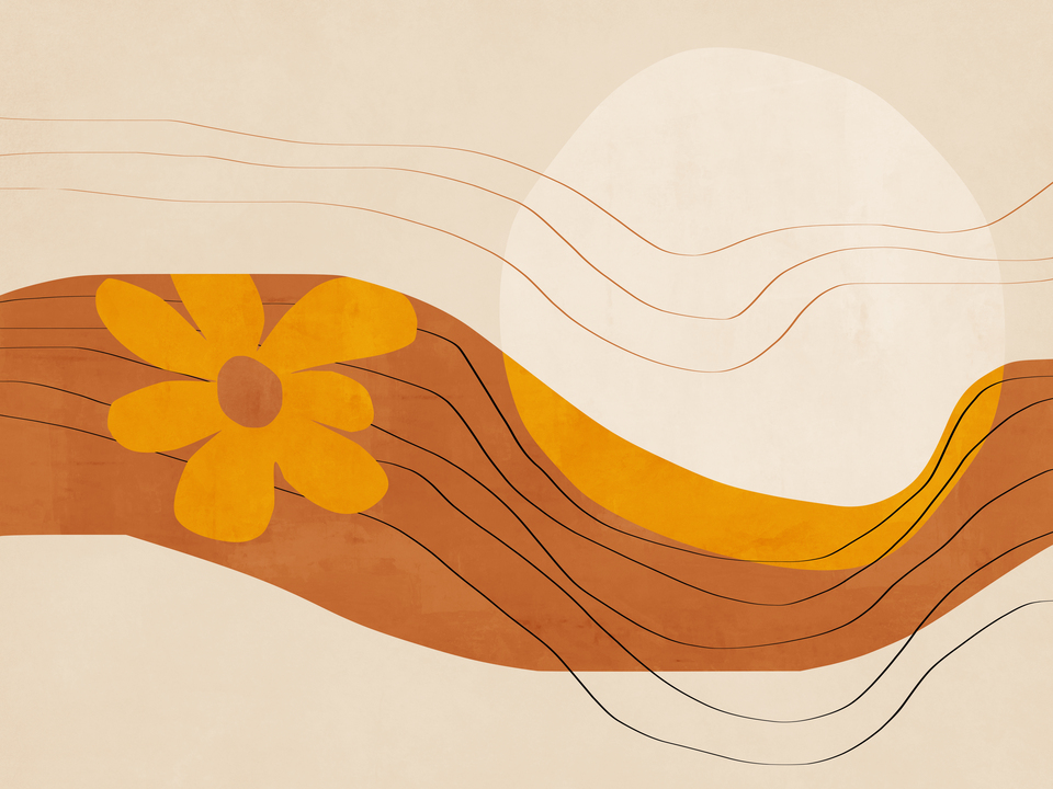 Mid Century Sunset Bloom 