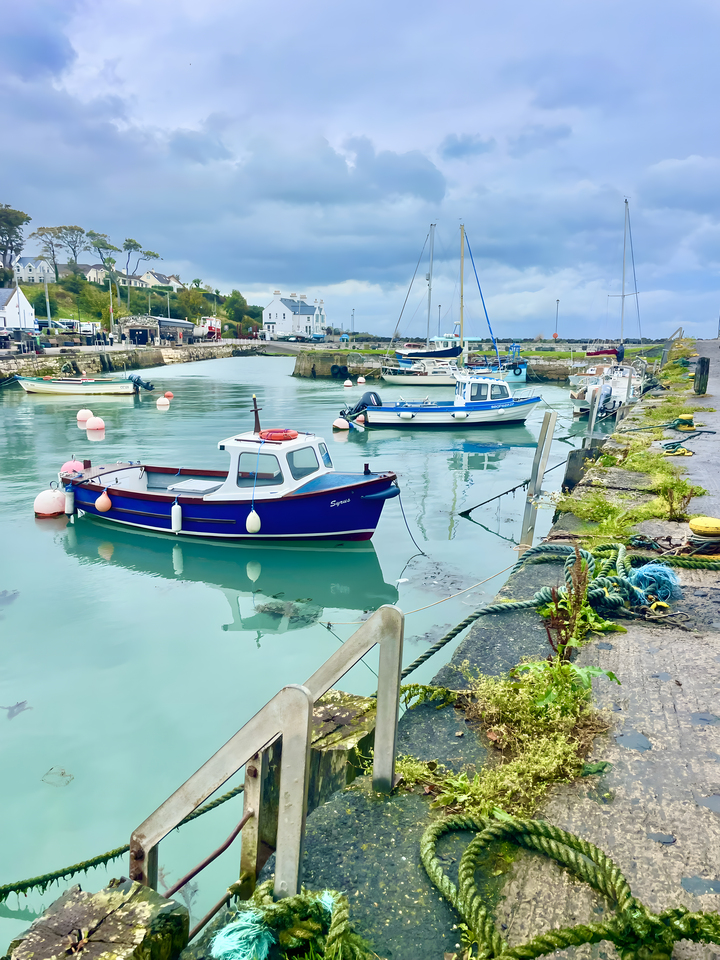 Irish Harbor Morning