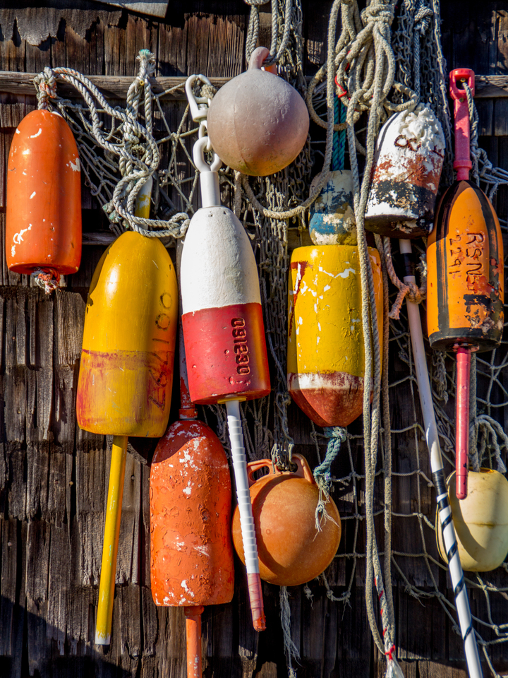 Lobster Buoy Collection