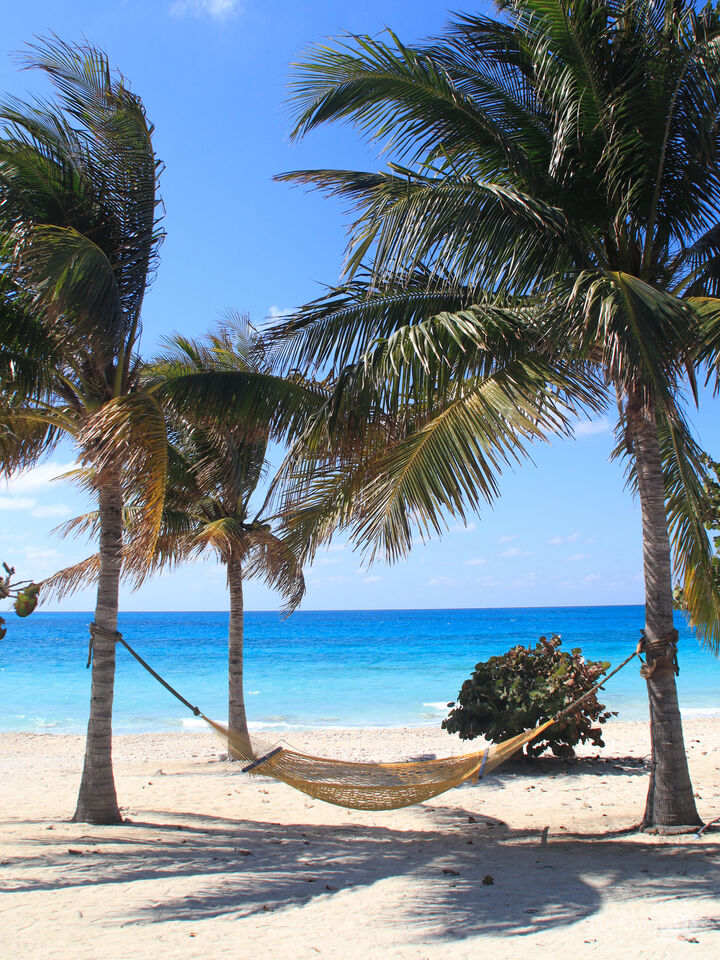 Quiet Caribbean Shore
