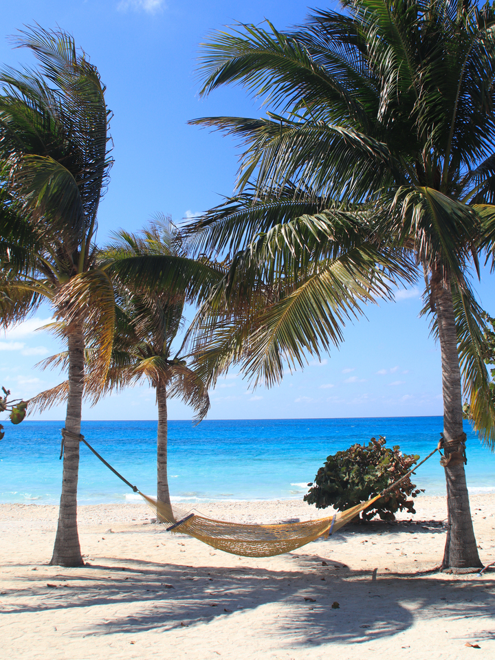 Quiet Caribbean Shore