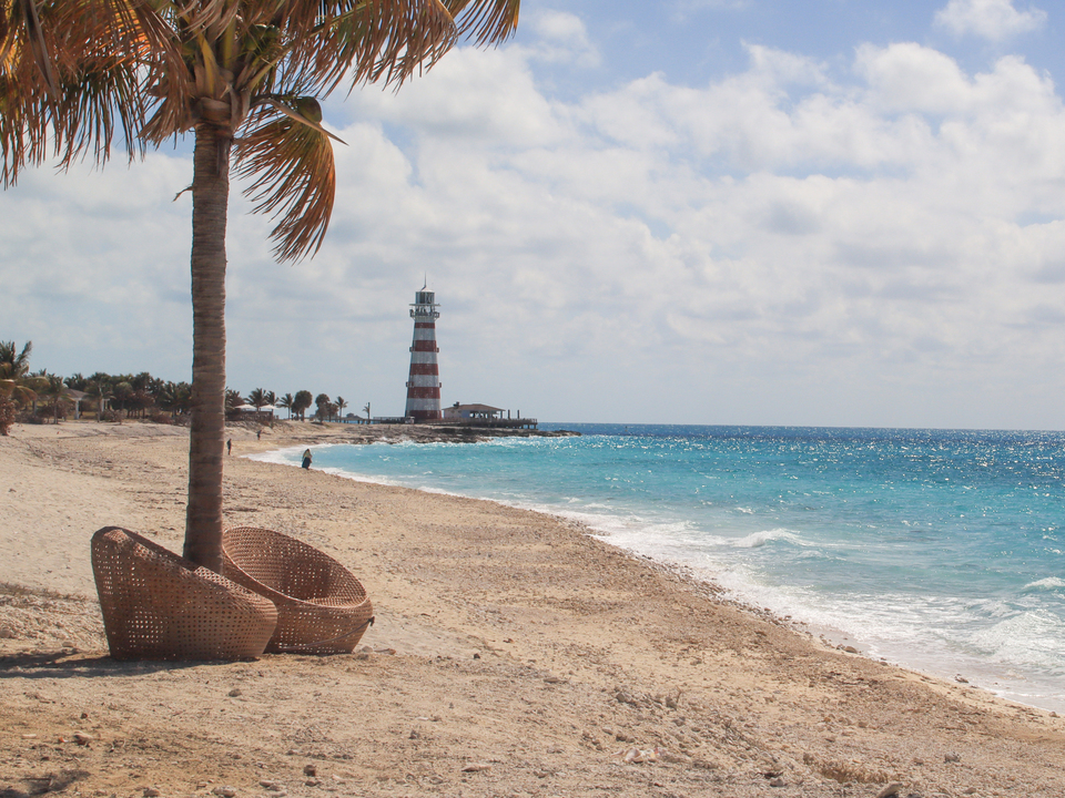 Palm Tree and Ocean Cay Lighthouse