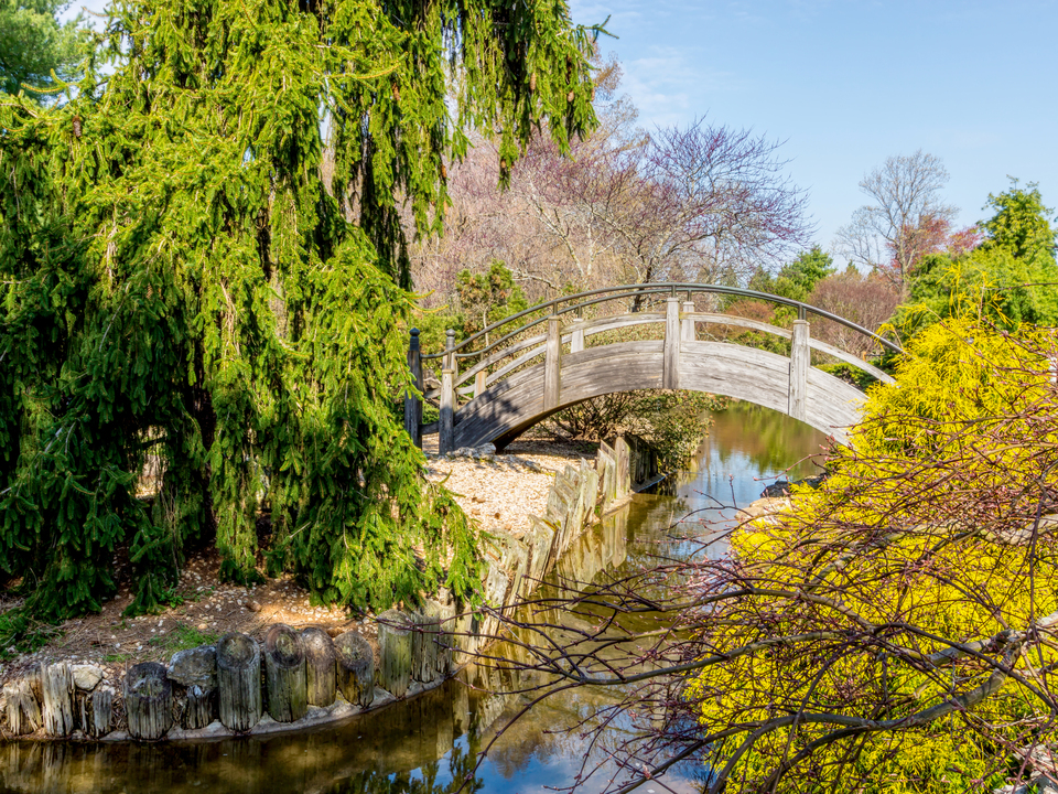 Springtime At The Moon Bridge