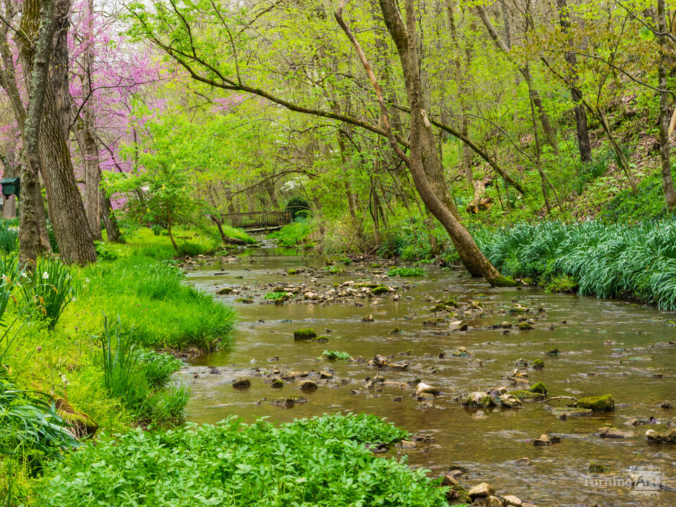 Garrison Branch Spring Ozark Missouri