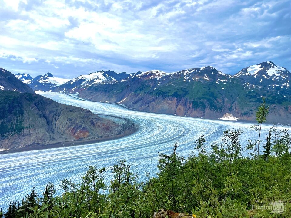Salmon Glacier Valley