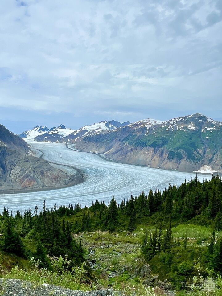 Salmon Glacier and Mountain Range