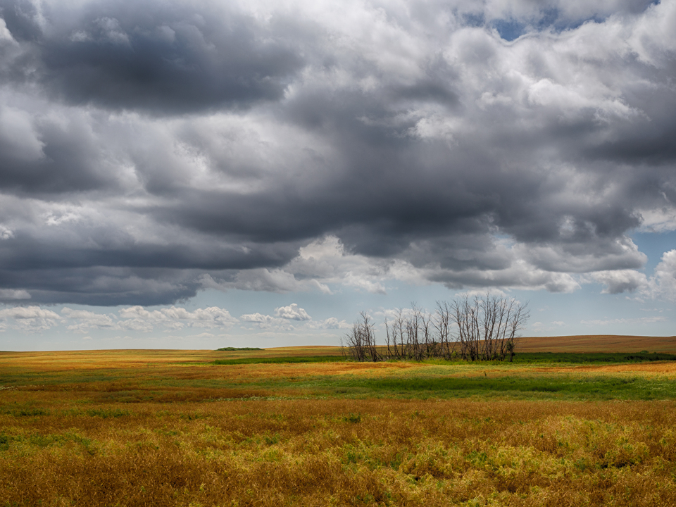 Stormy North Dakota Fields