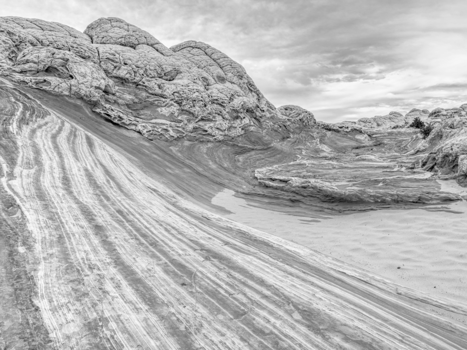 Lines To Arizona Surreal Beauty Grayscale