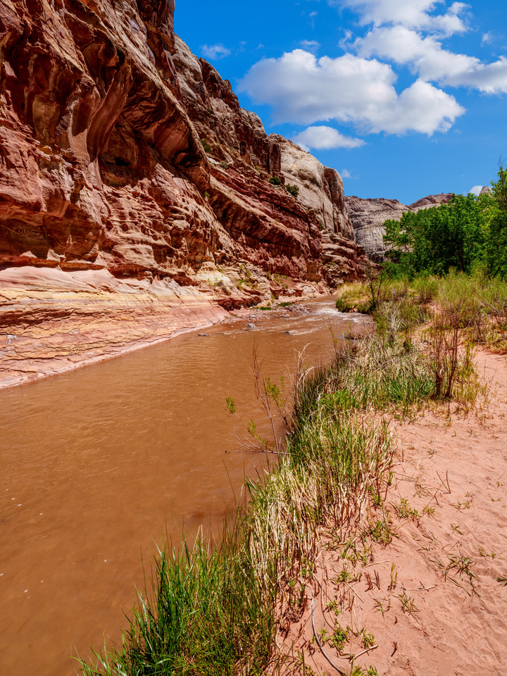 Fremont River Along Capitol Reef Cliff