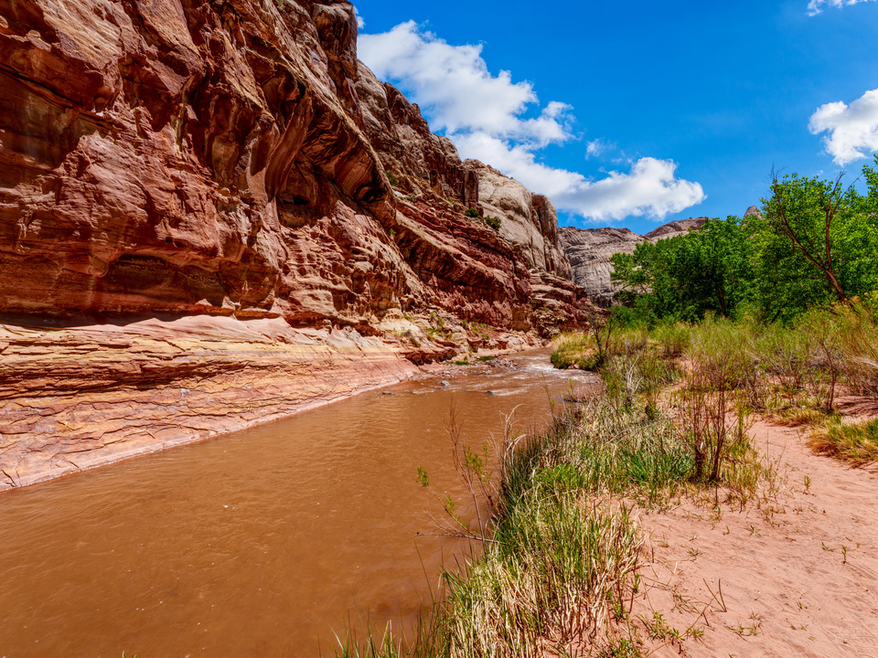 Flowing Through The Red Desert