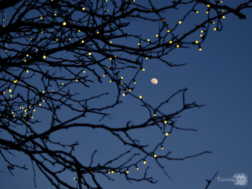 Moonrise and Lights