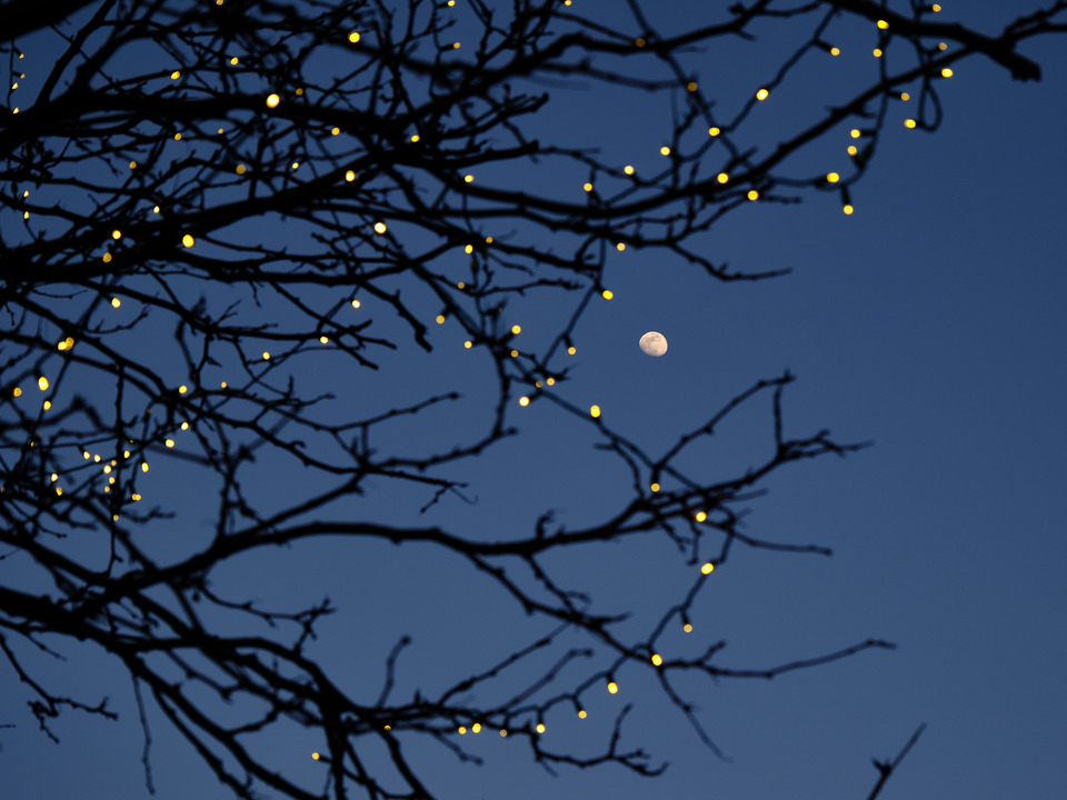Moonrise and Lights
