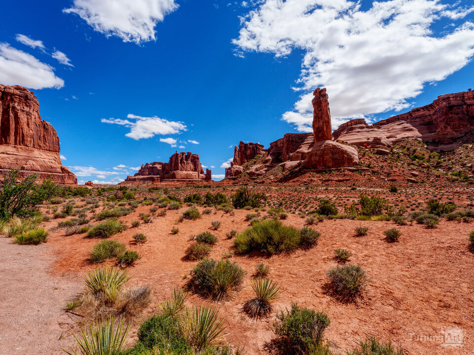Arches Park Avenue Vista