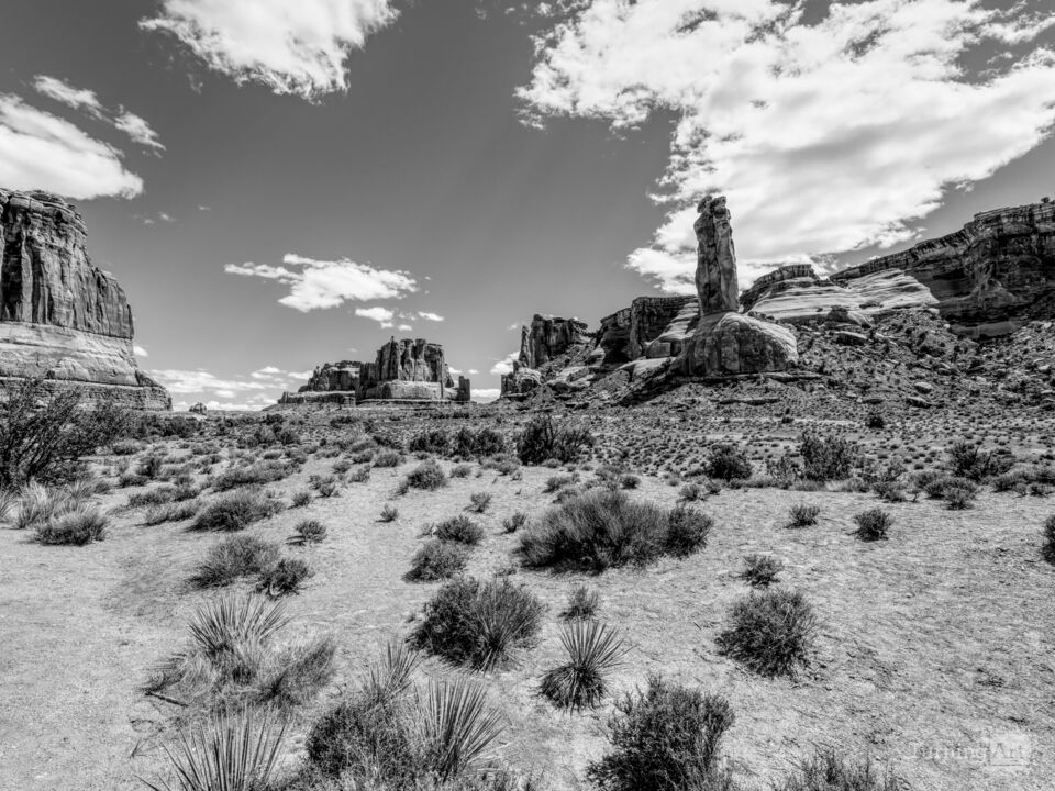 Arches Park Avenue Vista Grayscale