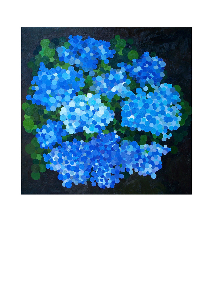 Blue Hydrangea
