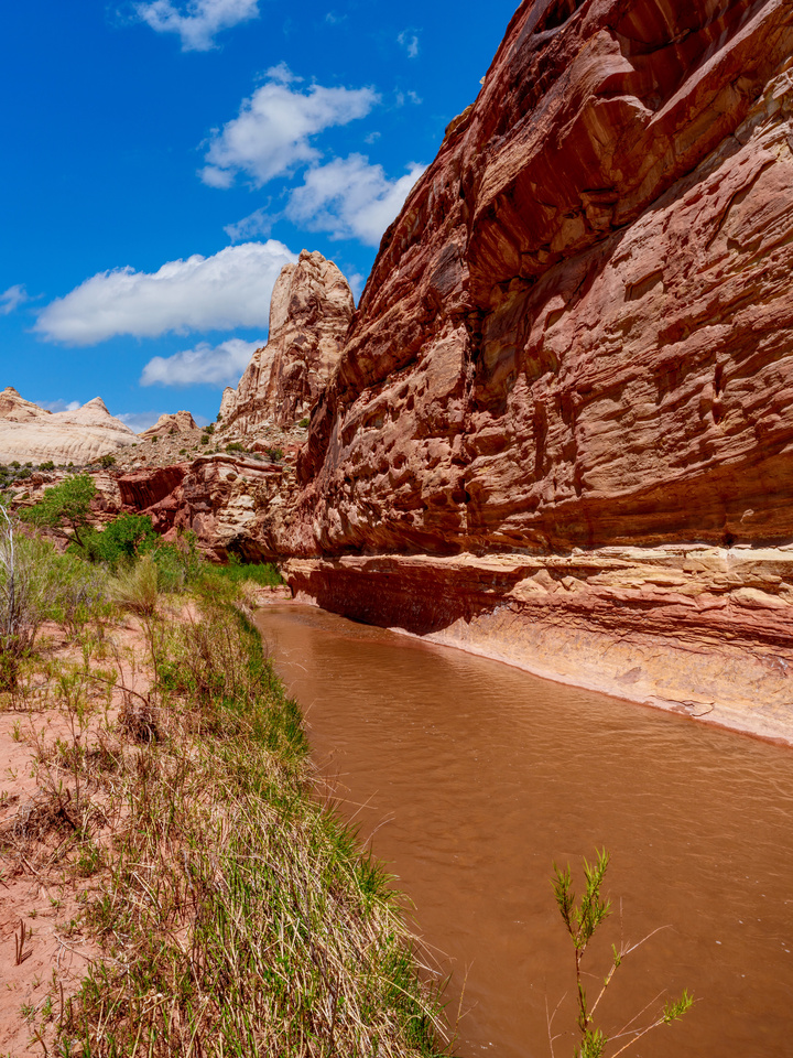 Capitol Reef Fremont River Vertical