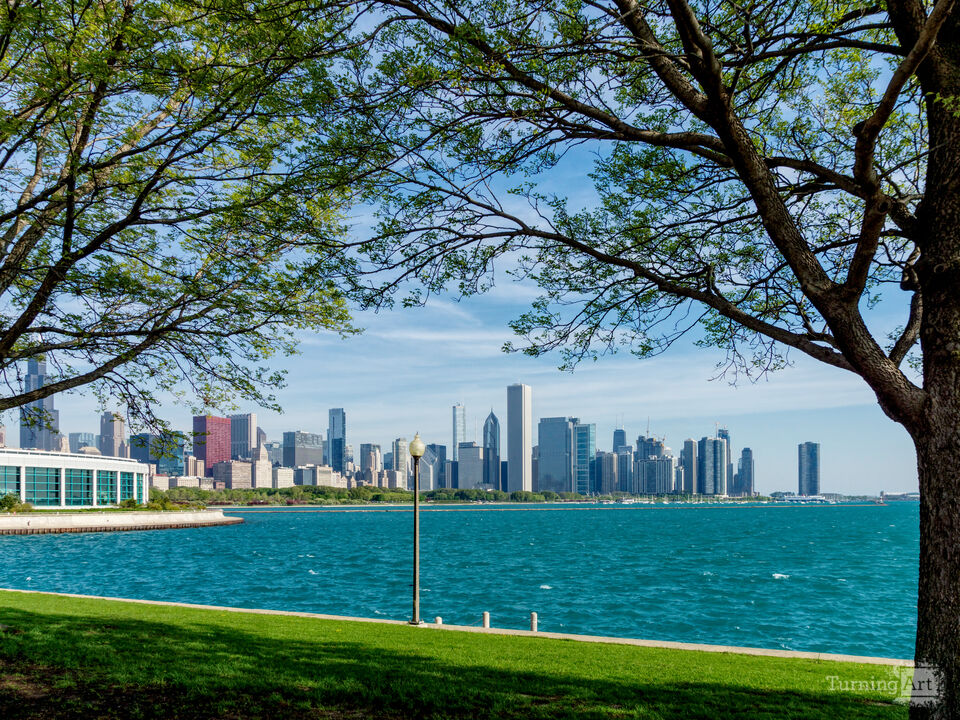 Windy City View Between Trees