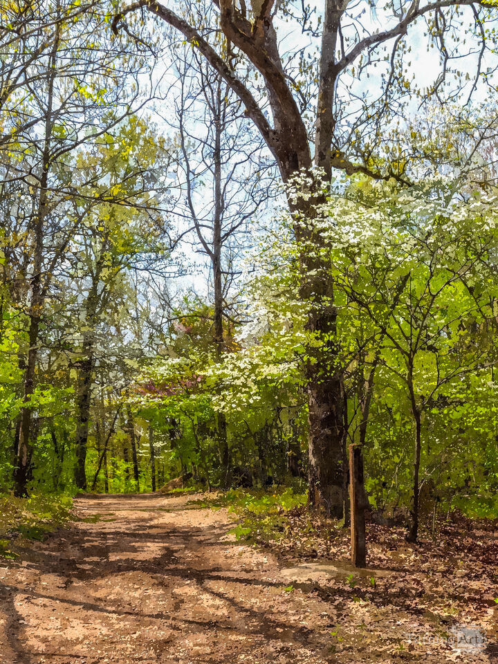 Hiking Branson In Spring Painterly