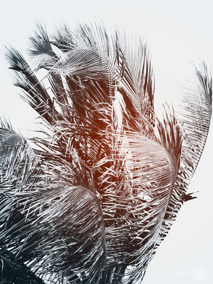 Flare #3