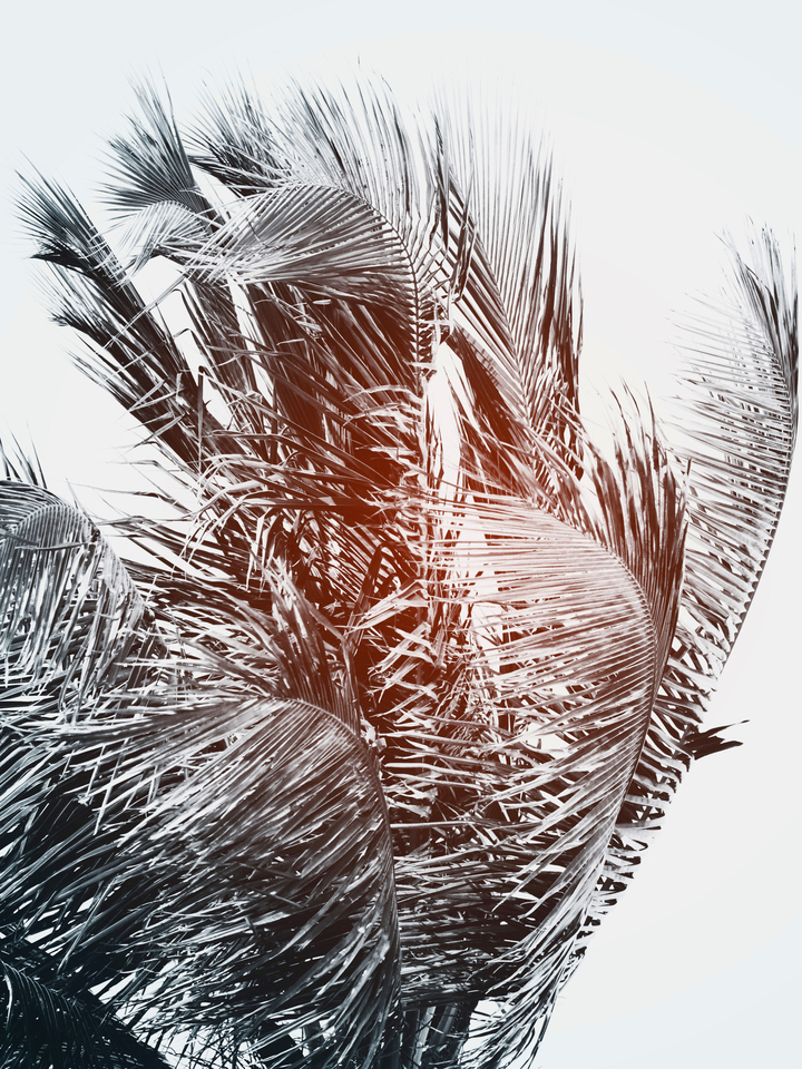 Flare #3