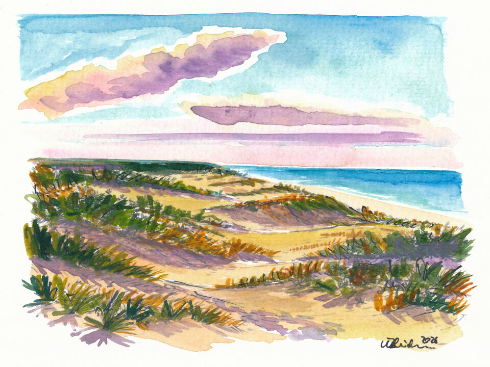 Baltic Sea Beach Travel Art Coastal Dunes and Ocean Scene
