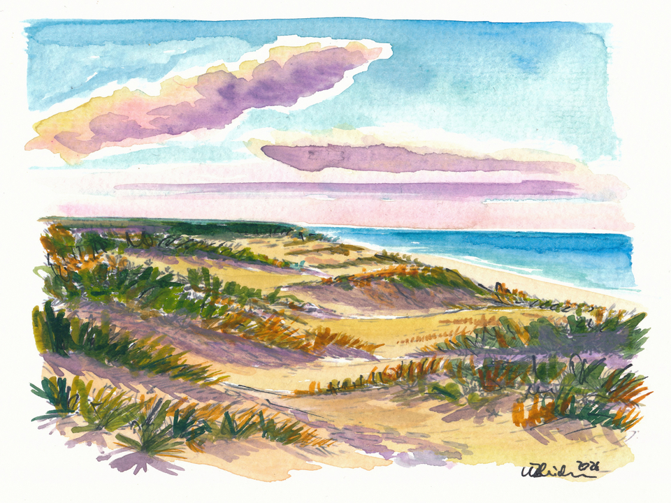 Baltic Sea Beach Travel Art Coastal Dunes and Ocean Scene