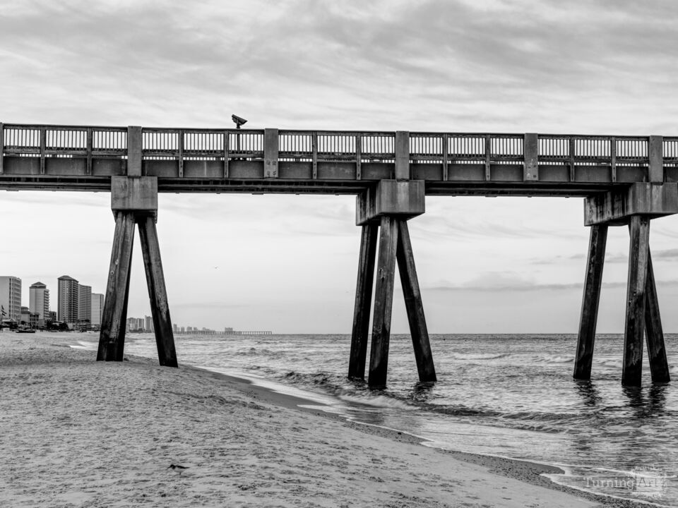 Soft Dawn Beneath Russell Fields Pier Grayscale