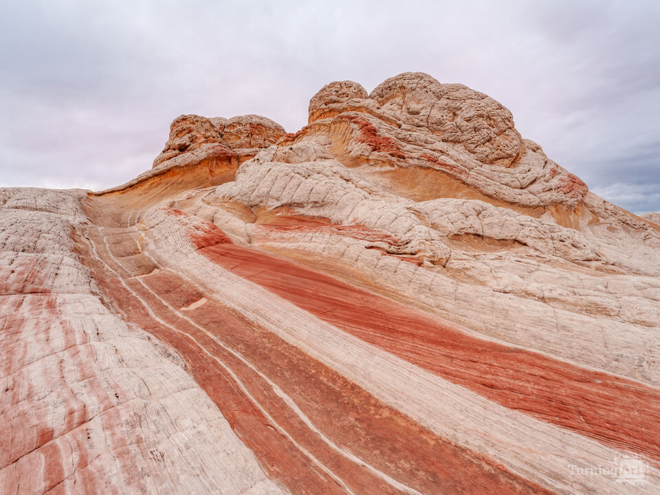 Arizona's Desert Sculptures