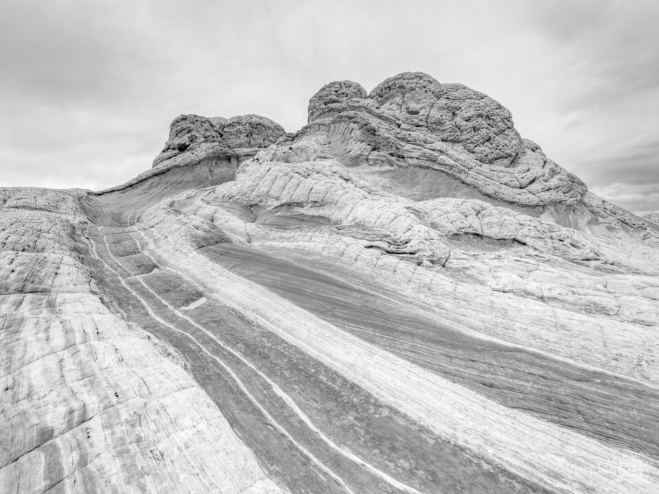 Arizona's Desert Sculptures Grayscale