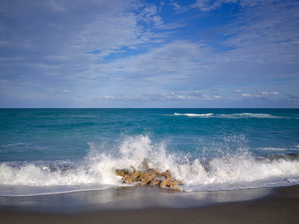 Coral and Crashing Waves, Jupiter Beach Florida