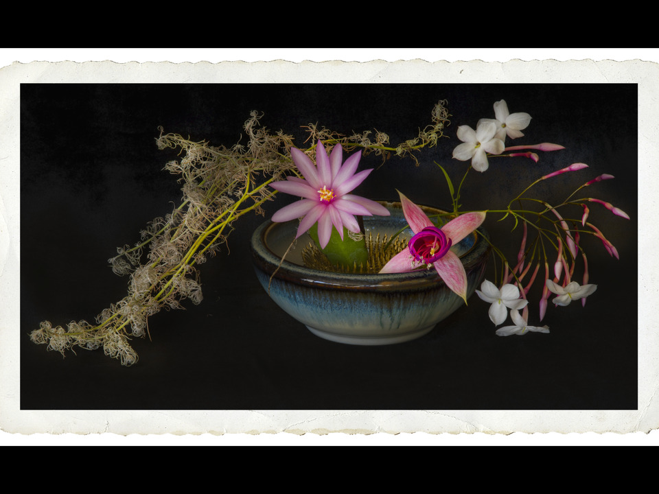 Arrangement (Ikebana)