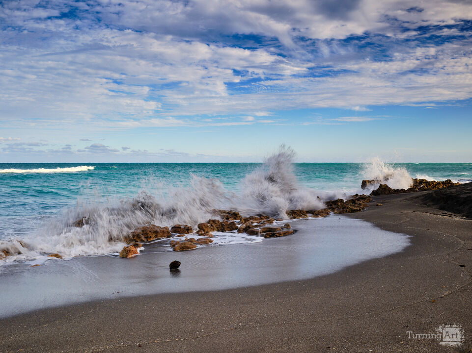 Jupiter Island Beach Coral Pounded by the tides