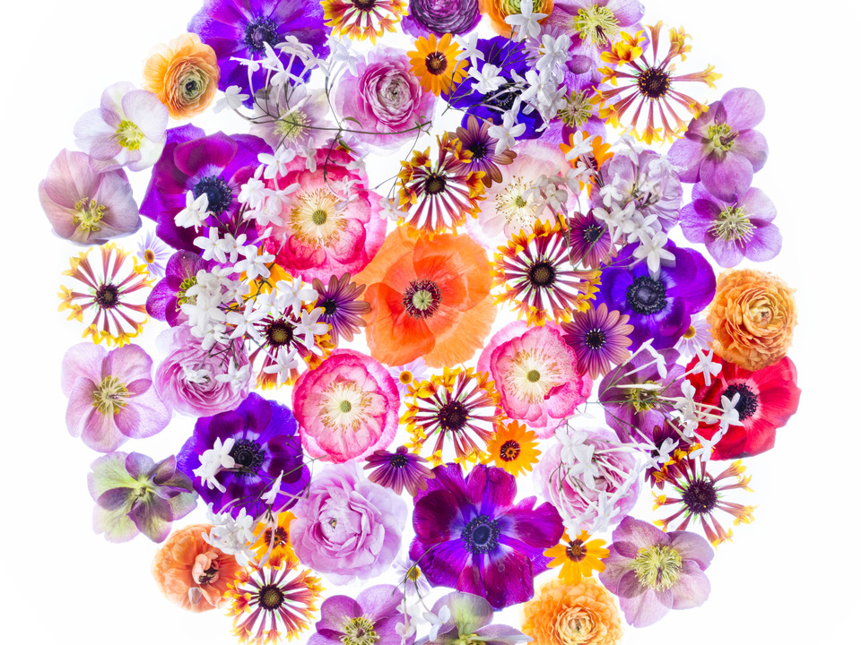 Floral World