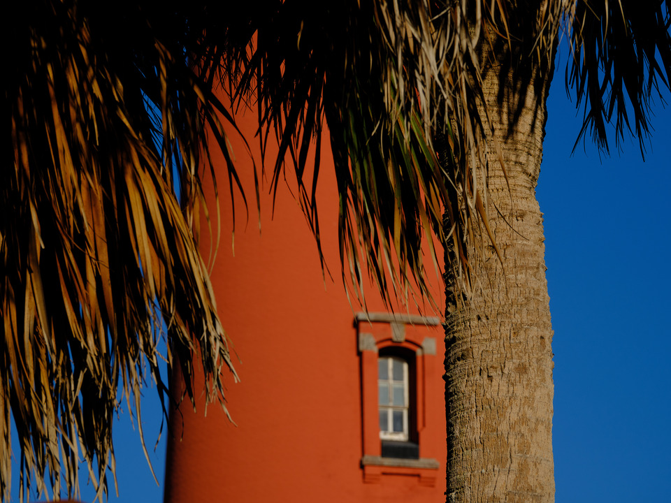 The Ponce Inlet lighthouse Tower through the Palms