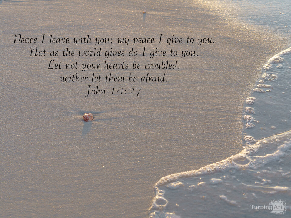 Seashell On A Quiet Shore John 14